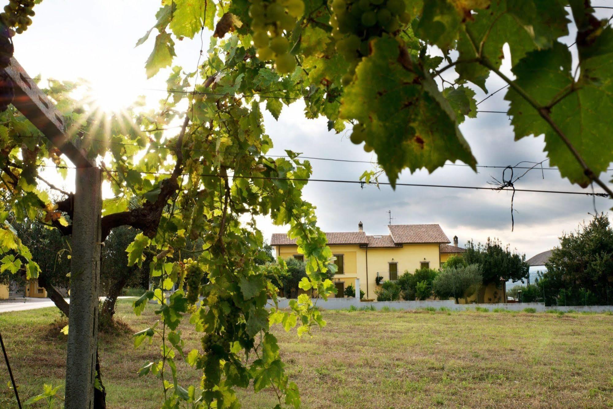 Agriturismo Il Casolare Di Nonno Mario Manoppello Ngoại thất bức ảnh